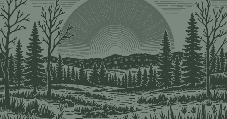 Exploring Sociocracy in Volunteer Groups