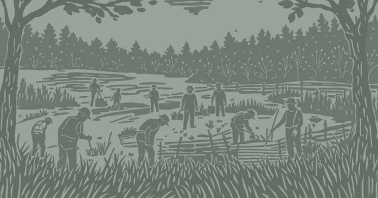 Employment Law for Nonprofit Board Members